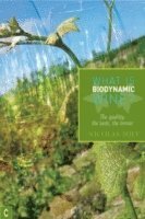bokomslag What is Biodynamic Wine?