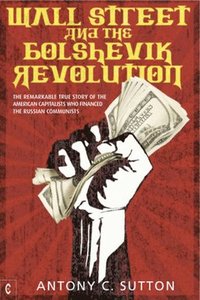 bokomslag Wall Street and the Bolshevik Revolution