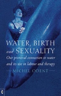 bokomslag Water, Birth and Sexuality