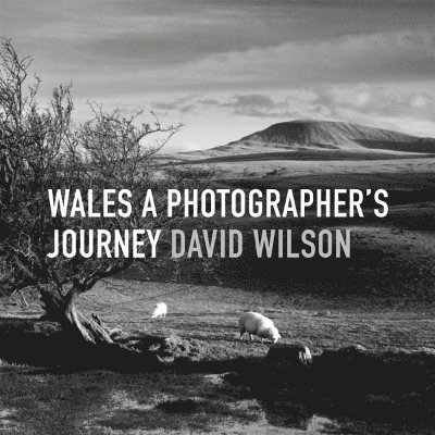Wales: A Photographer's Journey 1