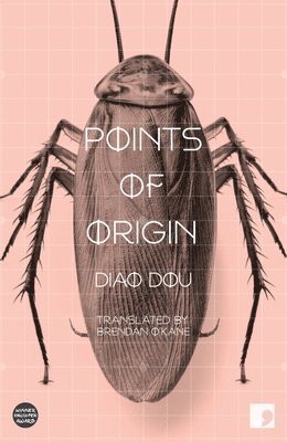 bokomslag Points of Origin