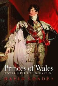 bokomslag Princes of Wales