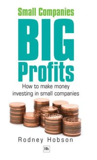 bokomslag Small Companies, Big Profits