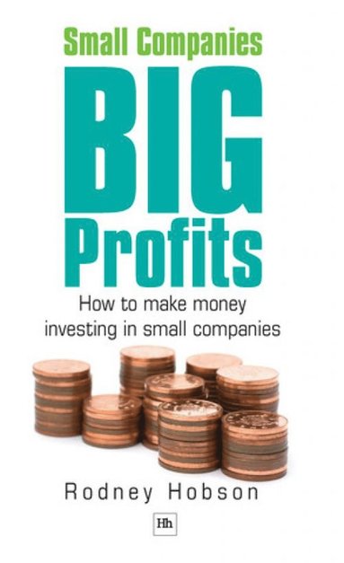 bokomslag Small Companies, Big Profits