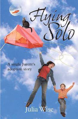 Flying Solo 1