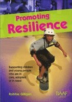 bokomslag Promoting Resilience