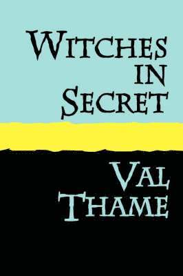 bokomslag Witches in Secret