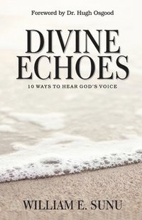 bokomslag Divine Echoes