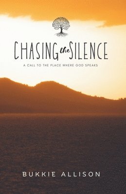 bokomslag Chasing the Silence