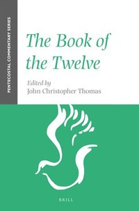 bokomslag Book of the Twelve