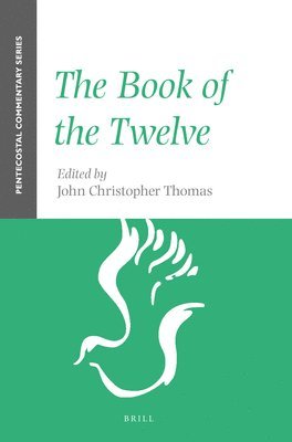 bokomslag Book of the Twelve