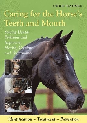 Caring for the Horse's Teeth and Mouth: Solving Dental Problems, and Improving Health, Comfort and Performance