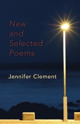 New and Selected Poems 1