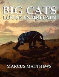 bokomslag Big Cats Loose in Britain