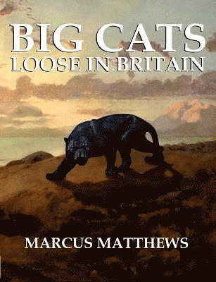 Big Cats Loose in Britain 1