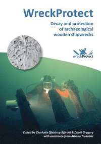 bokomslag WreckProtect: Decay and protection of archaeological wooden shipwrecks