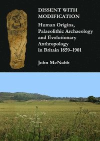 bokomslag Dissent with Modification: Human Origins, Palaeolithic Archaeology and Evolutionary Anthropology in Britain 18591901