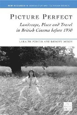 bokomslag Picture Perfect: Landscape, Place and Travel in British Cinema Before 1930