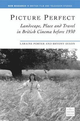 bokomslag Picture Perfect: Landscape, Place and Travel in British Cinema Before 1930