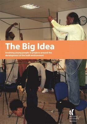 bokomslag The Big Idea