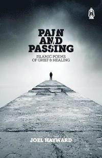 bokomslag Pain and Passing