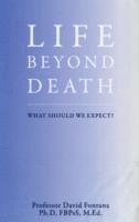 bokomslag Life Beyond Death