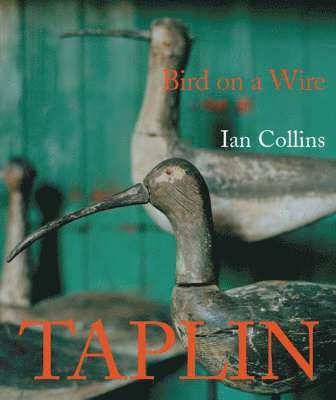 Bird on a Wire: the Life and Art of Guy Taplin