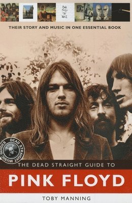 bokomslag The Dead Straight Guide to Pink Floyd