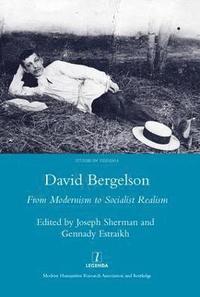 bokomslag David Bergelson