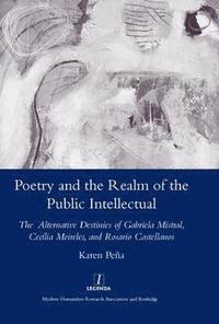 bokomslag Poetry and the Realm of the Public Intellectual