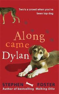 bokomslag Along Came Dylan: Two's a Crowd When You've Been Top Dog