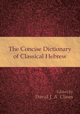 David J. A. Clines - Concise Dictionary of Classical Hebrew, Häftad