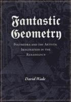 bokomslag Fantastic Geometry