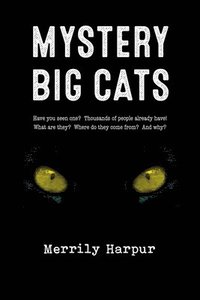 bokomslag Mystery Big Cats