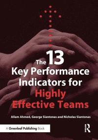 bokomslag The 13 Key Performance Indicators for Highly Effective Teams