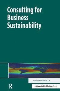 bokomslag Consulting for Business Sustainability