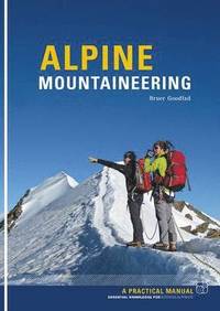bokomslag Alpine Mountaineering