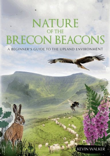 Kevin Walker - Nature of the Brecon Beacons, Häftad