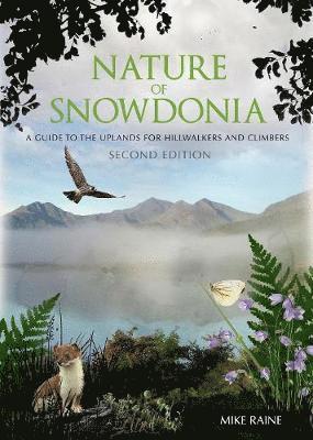 Mike Raine - Nature of Snowdonia, Häftad