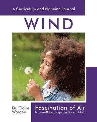 bokomslag Fascination of Air