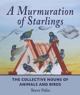 A Murmuration of Starlings 1