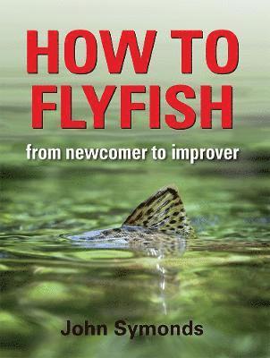 bokomslag How to Flyfish