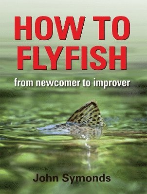 bokomslag How to Flyfish