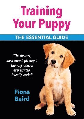 Training Your Puppy 1