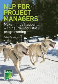 bokomslag NLP for Project Managers