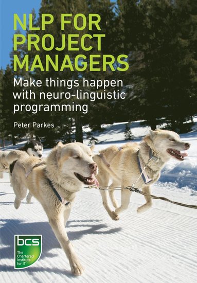 bokomslag NLP for Project Managers