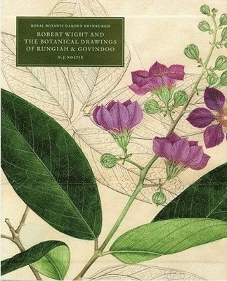 bokomslag Robert Wight and the Botanical Drawings of Rungiah and Govindoo ( 3 volumes)