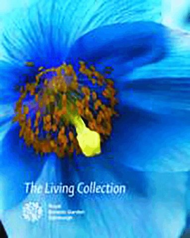 David Rae - Living Collection, Häftad