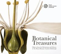 bokomslag Botanical Treasures