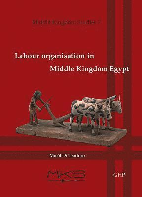 Labour organisation in Middle Kingdom Egypt 1
